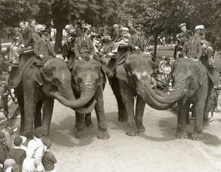 Przejażdżki na słoniach w londyńskim zoo, lipiec 1936
