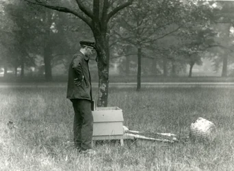 Keeper Brown poruszający rój pszczół miodnych, londyńskie zoo, lipiec 1926