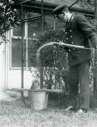 Opiekun Thomas Raggetta pod prysznicem Tawny Frogmouth, Londyńskie Zoo, 1924
