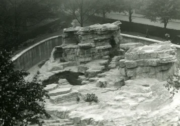 Monkey Hill” widziany ze szczytu tarasów Mappin, londyńskie zoo