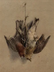 Martwa natura, skowronki