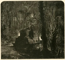 „Podchodząc nocą po rzece Ocklawaha”, 1872 r.