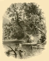 „Północny oddział Susquehanna, w Hunlocks”, 1874.
