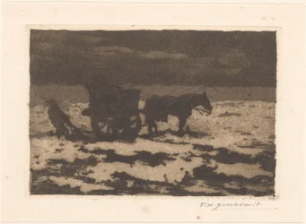 skorupiak