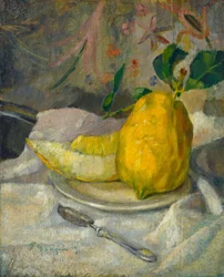 Melon i Cytryna