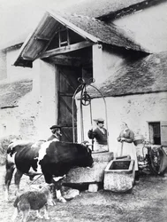Chłopi wokół studni, w obejściu, ok. 1860-70 (zdjęcie czarno-białe)