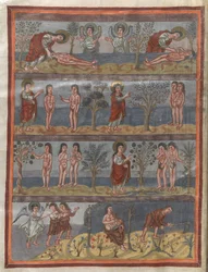 Dodać. 10546, f.5v Stworzenie Adama i Ewy (welum)