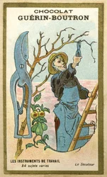 Chromolitografia reklamowa czekoladek Guerin Boutron, przyrządy do pracy, 84 różne tematy, sekatory (chromolitografia)