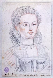 Agnes Sorel (ok.1422-50) (ołówek i kredka na papierze)