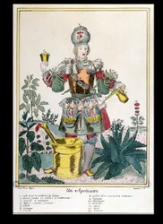 Aptekarz (kolorowy grawerunek)