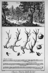 Polowanie - poszukiwanie jelenia - „” The Great Encyclopedia lub Dictionnaire Raisonne des Sciences, des Arts et des Metiers”” (Encyklopedia lub słownik nauk, sztuki i zawodów) autorstwa Denisa Diderota (1713-1784) i Jeana d Alemberta (1717-1783).