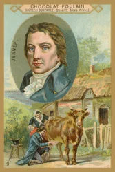Karta handlowa Chocolate Poulain, Edward Jenner