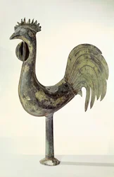 Kogut