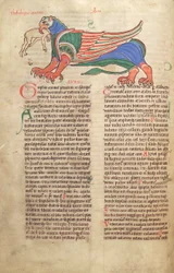 Dorsz. Guelfa. 1 Gud. łac. 39v, Gryf pożerający człowieka, z Liber Floridus Lamberta de Saint-Omer c.1120