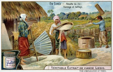 Coree: zbiór ryżu, tkanie i omłot - chromo. Liébiga, v.1900