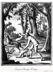 Odwaga Jacquesa Cougona, 1799