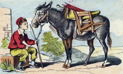 Osioł. Grawerowanie w „Buffon Alphabet des Animaux”. III seria N 1. Obrazowanie Epinal, Epinal, koniec XIX wieku. 16 stron. Wymiary: 28x21cm