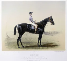 Słynny koń wyścigowy – w „Centaurze” 1866