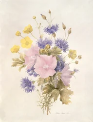 Kwiaty polne, 1842 (wc na papierze)