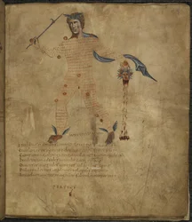 Harley 647, f.4 Ilustracja Perseusza, bohatera mitologii greckiej, z głową wężowłosej Meduzy, z tekstem lub scholią w postaci konstelacji, z „Aratusa” Marka Tulliusza Cycerona (wellum)