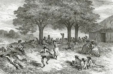 Żniwa koki, Peru, ilustracja z magazynu Le Tour du Monde, 1877