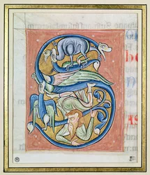 Historyczny inicjał „S” przedstawiający akrobatę i fantastyczne zwierzęta, z Biblii Saint-Andre aux-Bois (welum)