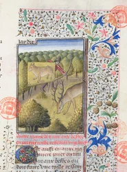 Łowca ukrywający się za wabikiem podczas polowania na jelenia, z Livre de la Chasse Gastona Phebusa de Foix (1331-91)