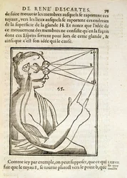 Ilustracja z De Homine Figuris autorstwa Rene Descartes (1596-1650) opublikowanej w Hadze, 1662