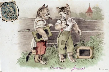 Ilustracja przedstawiająca koty w sytuacji - pocztówka początek XX wieku.