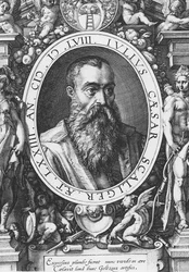 Juliusz Cezar Scaliger (grafika)