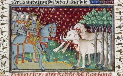 Rycerze atakujący słonie, z „Księgi romansów Shrewsbury Talbot”, ok. 1445 (welum)