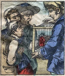 Lemuel Gulliver w klatce zostaje pokazany gigantom z Brobdingnag. Ilustracja do „Podróży Guliwera” Jonathana Swifta (1667-1745). Obrazowanie epinal pod koniec XIX wieku.
