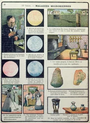 Louis Pasteur (1822-95) i choroby bakteryjne, z Les Sciences Physiques et Naturelles, Paryż, 1908