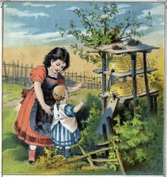 Marta pokazuje swojej młodszej siostrze pracę pszczół w ulu. Chromolitografia z „”Sceny enfantines””” wyd. Guerin - Muller około 1885 roku.