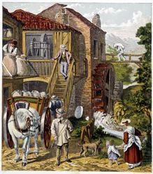 Meunier - w „”Magazynie małych dzieci: Zawody””, wyd. Siekierka, b.d., ok. 1900