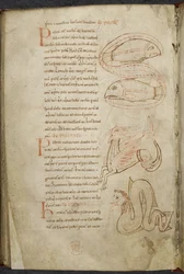 Różne prace z dziedziny informatyki i astronomii, Royal MS 13 A XI