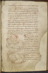 Różne prace z dziedziny informatyki i astronomii, Royal MS 13 A XI