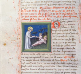 Ms 313 Stworzenie Ewy, z Biblii des Grands Augustins, 1494