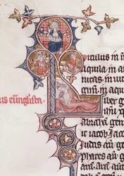 Ms 7 fol.199v Historyczny inicjał L przedstawiający Drzewo Jessego, z Biblii de Jean dEstampes, XIII-XIV wiek