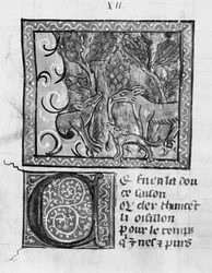 Pani Fr 1580 Lis, wilk i pies, z Le Roman de Renart