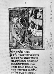 Pani Fr 1581 Szlachetny dwór dworski, ilustracja z Roman de Renart