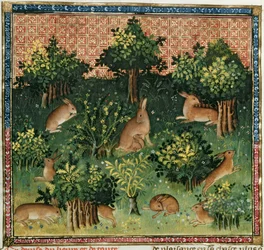 Pani Fr 616 fol.24v Zające w lesie, z Livre de la Chasse Gastona Phebusa de Foix (1331-91)