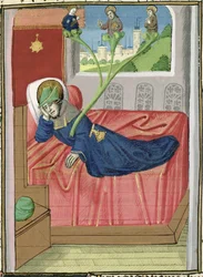 Ms H 7 fol.145r Drzewo Jessego, z Biblii Jana XXII