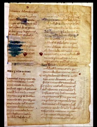 Pani Lat 12832 Fol.A Inwentarz własności karolińskich, z poliptyku opata Irminona z Saint-Germain-des-Pres