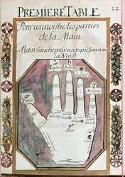 Części lewej ręki dla urodzonych w nocy, z rękopisu Chiromancji, XVIII w. (wc na papierze)