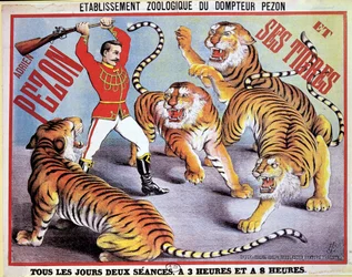 Plakat reklamujący Adriena Pezona i jego Tygrysy, ok. 1897 r.
