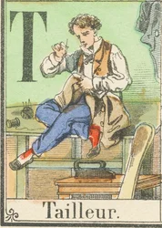 T: Krawiec