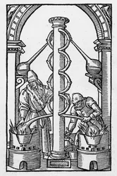 The Alchemist at Work, kopia ilustracji z „Coelum Philosophorum” Philippusa Ulstadiusa, Paryż 1544, wykorzystana w „Historii magii”, wydanej pod koniec XIX wieku