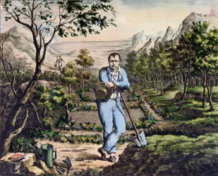 Ogrodnik św. Heleny