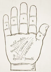 Prawa ręka, linie główne, kopia ilustracji z Chiromancji autorstwa Ioannesa ab Indagine, 1531, wykorzystana w Historii magii, opublikowanej pod koniec XIX wieku